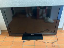 Sony Fernseher in gutem Zustand zu verkaufen