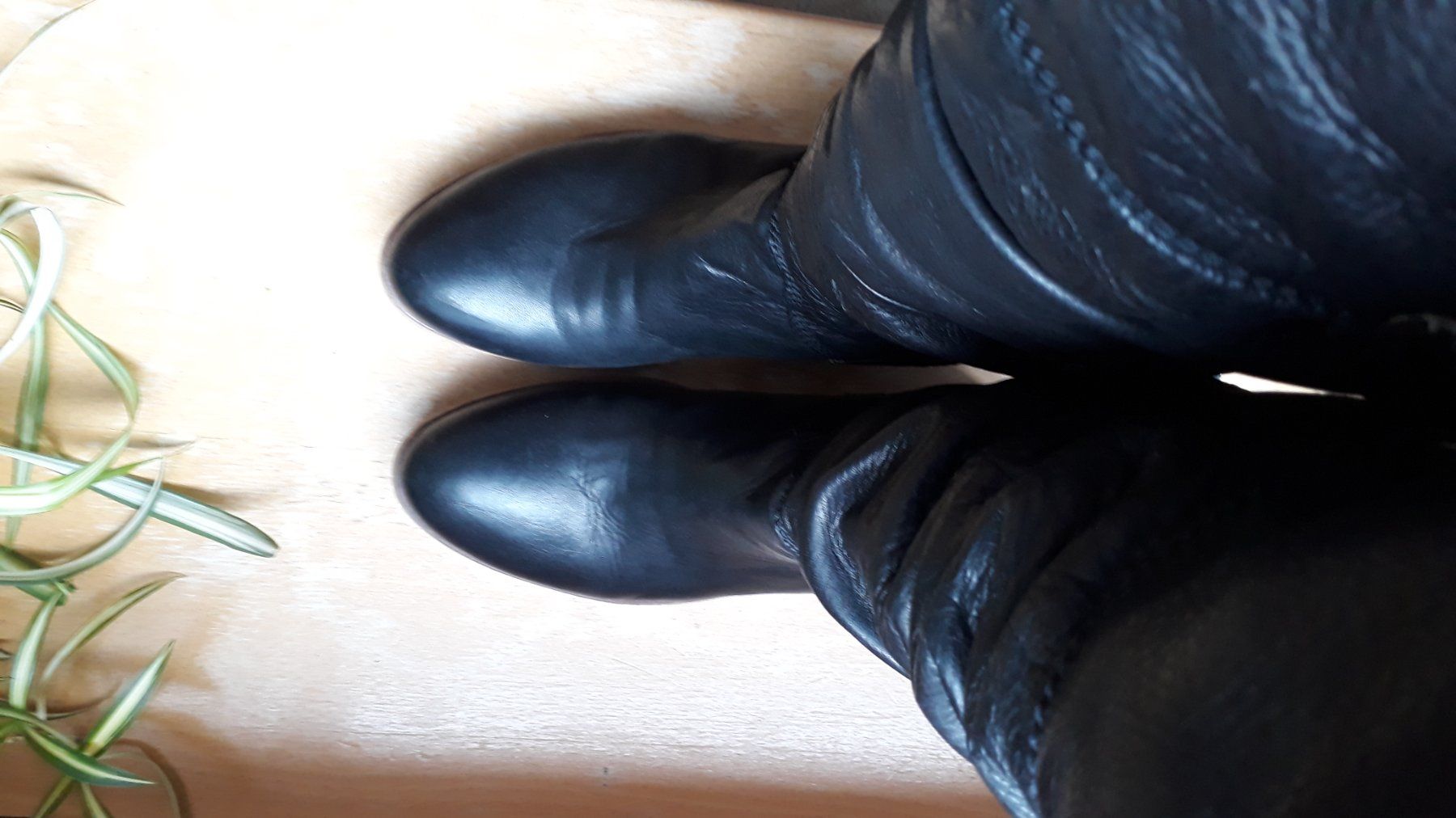 Elisa Cavaletti Damenschuhe: Leder Stiefel – Gebraucht aus Kandersteg von zaruba 3