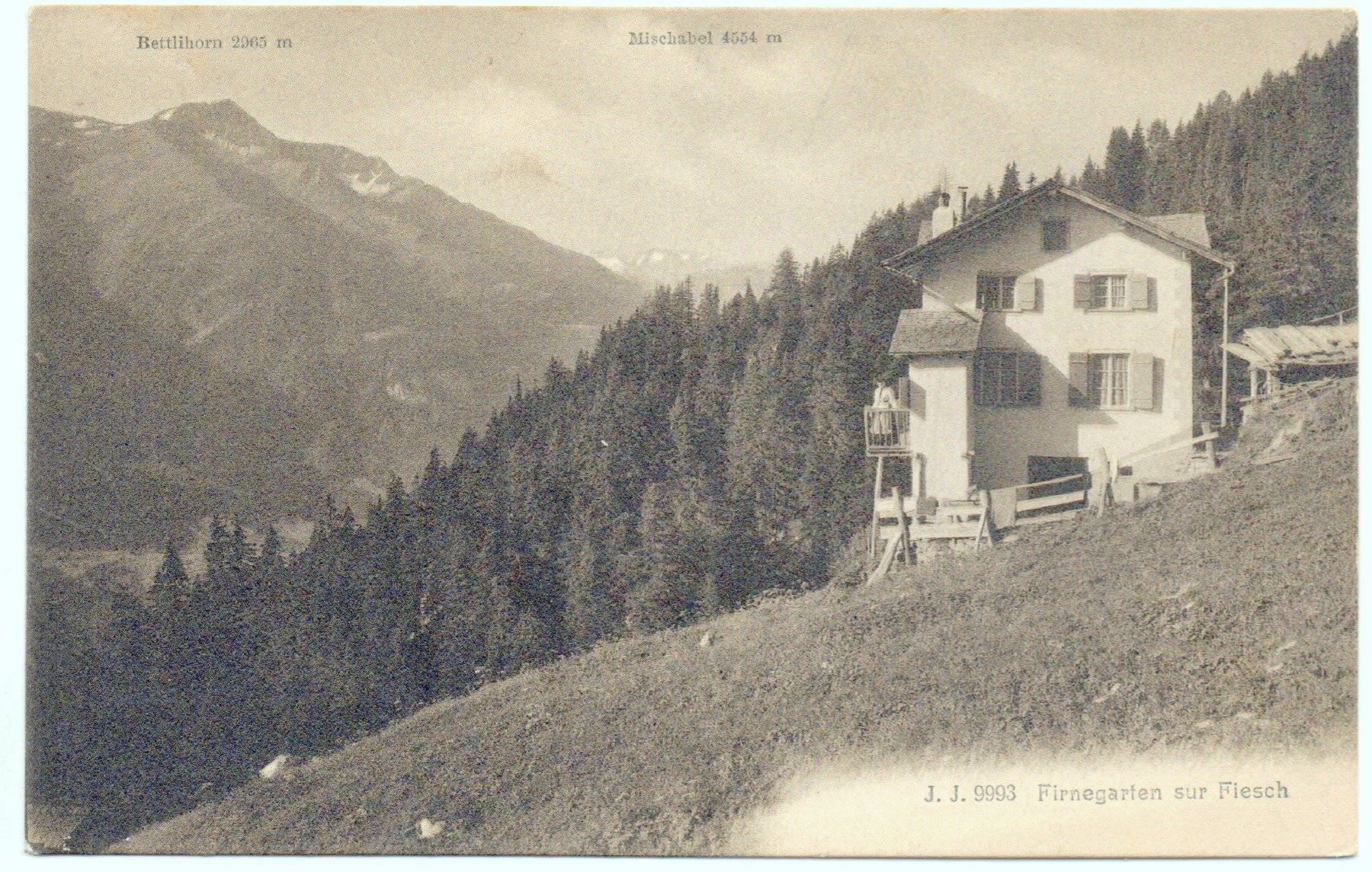 Cartoline postali: FIESCH Firnegarten – Nuovo (secondo la descrizione) da Jona venduto da philajona