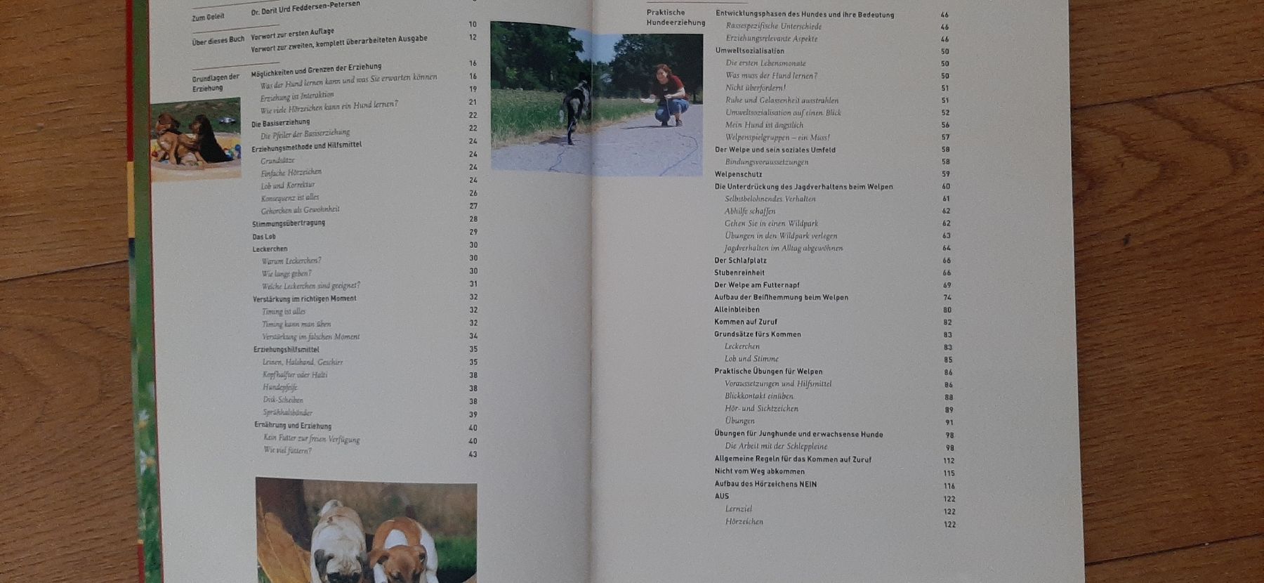 Libri: Kosmos Erziehungsprogramm für Hunde – Usato da Kreuzlingen venduto da markswiss 2