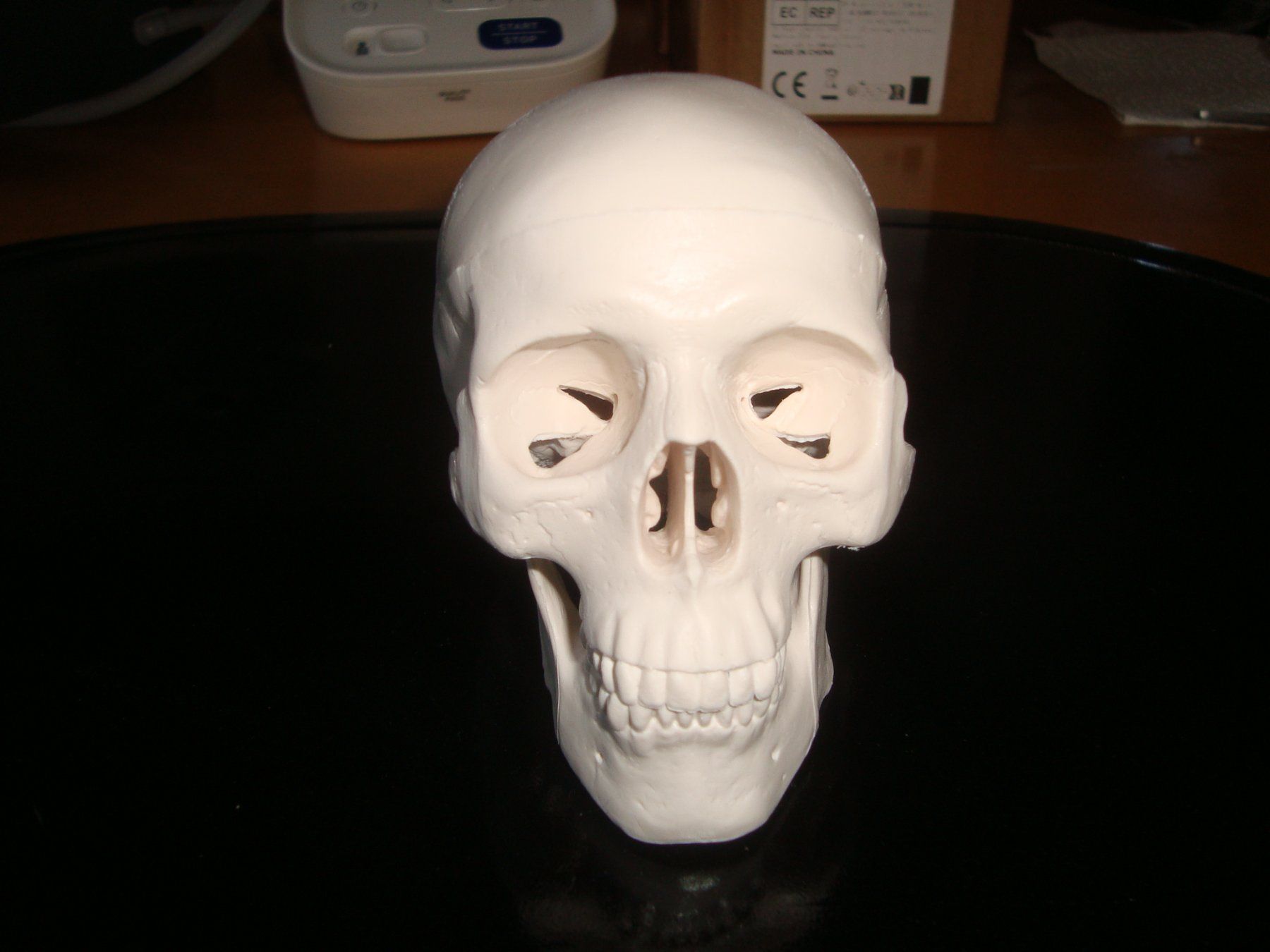 Skulpturen & Statuen: totenkopf – Neu und originalverpackt aus Münsingen von Grabliechtli