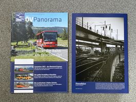 öV Panorama CJ Bus REX Uetliberg Bahn Postauto O303 öV Polen
