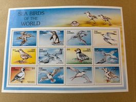 Seevögel Briefmarken Gambia D3 10er Block Vögel Tiere Sam...