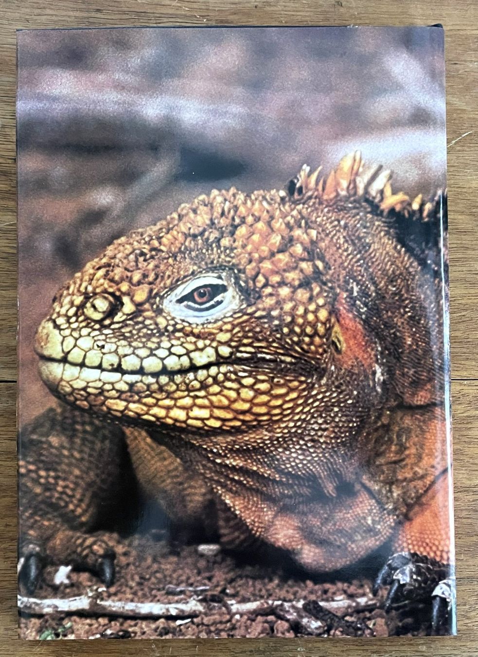 Libri: Silva Verlag, Zoo Galapagos, 1973 – Usato da Oftringen venduto da Vucki 9