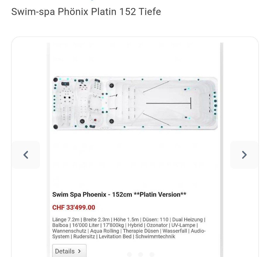 Piscine: Swim-spa Phönix Platin – Nuovo (secondo la descrizione) da Dozwil venduto da kunigunde01