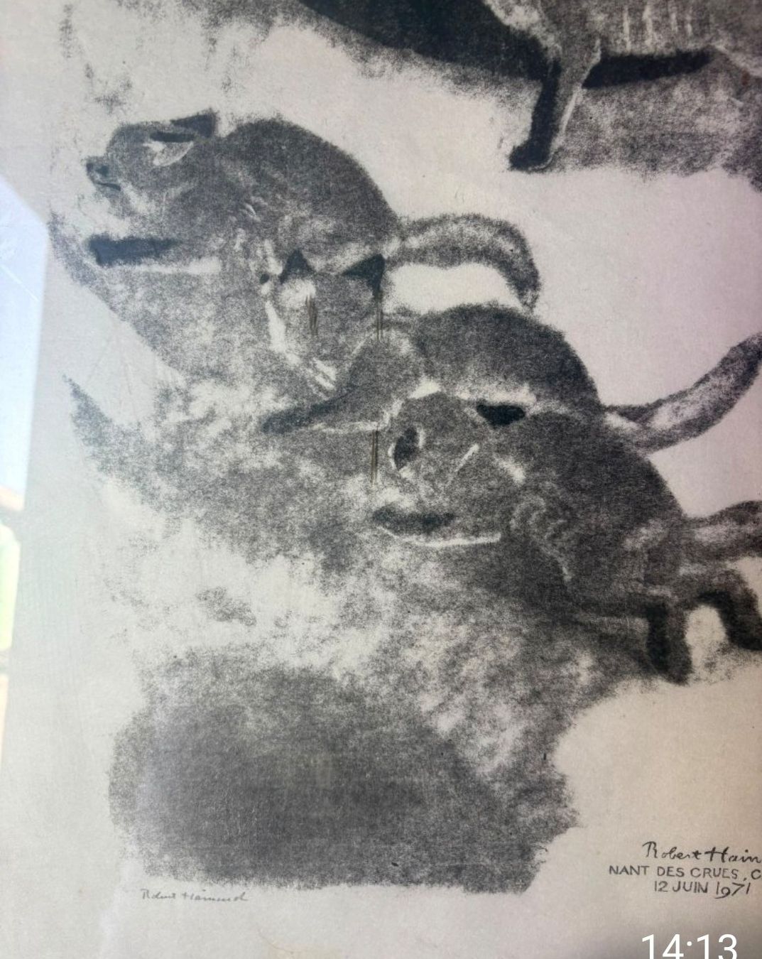 Poster & Bilder: Robert Hainard 1971  – Gebraucht aus Adlikon b.Regensdorf von kuka02 2
