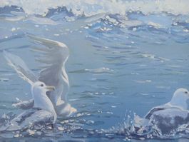 ab 1 Franken!!! DAVID SIMONS ART Moewen im Meer Oel signiert