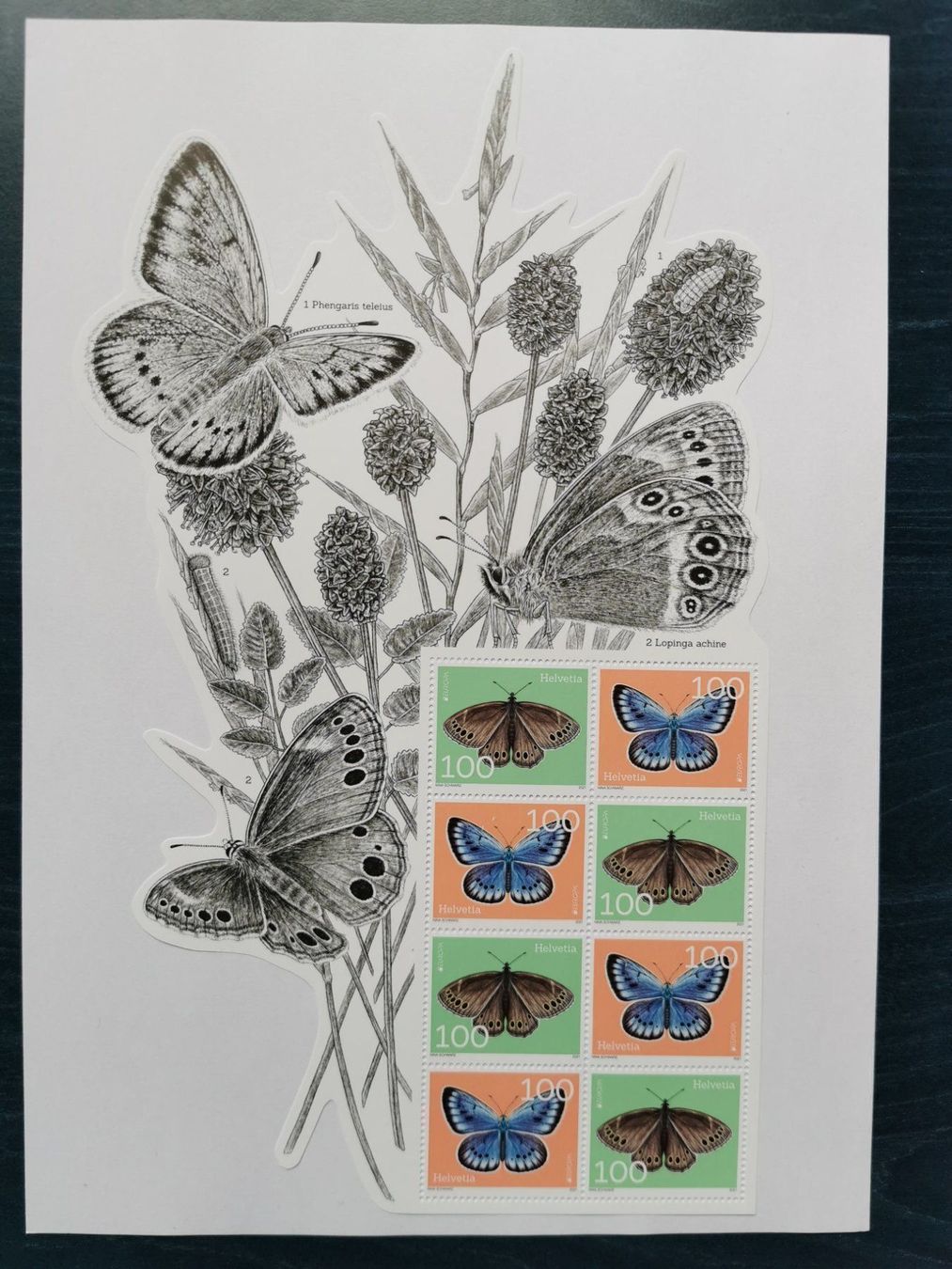 Alle Briefmarken: 2021* – Neu (gemäss Beschreibung) aus Aadorf von Chnorli-Furz