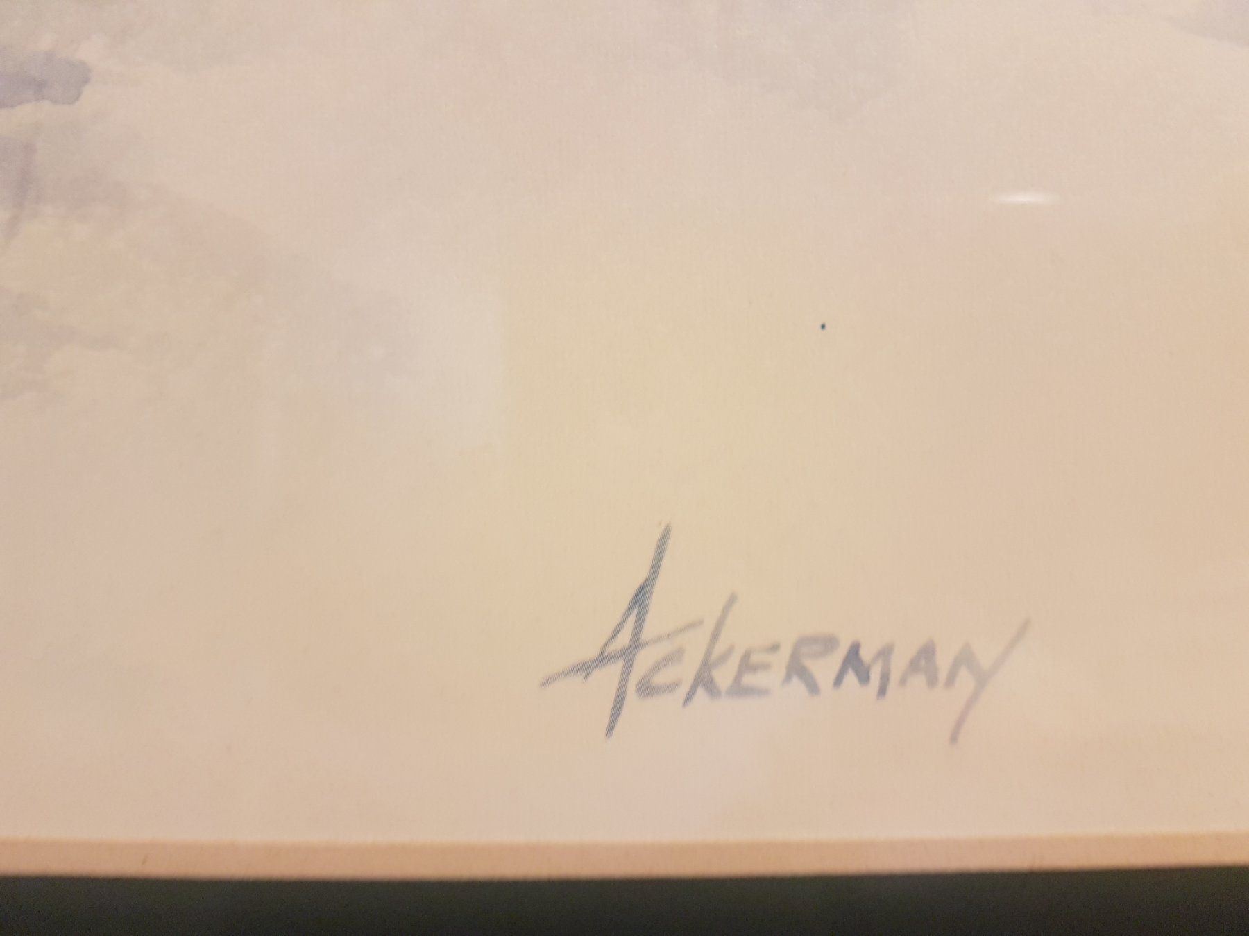 Gemälde: Frank Edward Ackermann – "Riverhouse" – Original EMSA – Gebraucht aus Glattbrugg von casabelavista 6