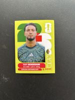 Panini ALG 3