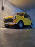 Mini 1100 Spezial Veteran