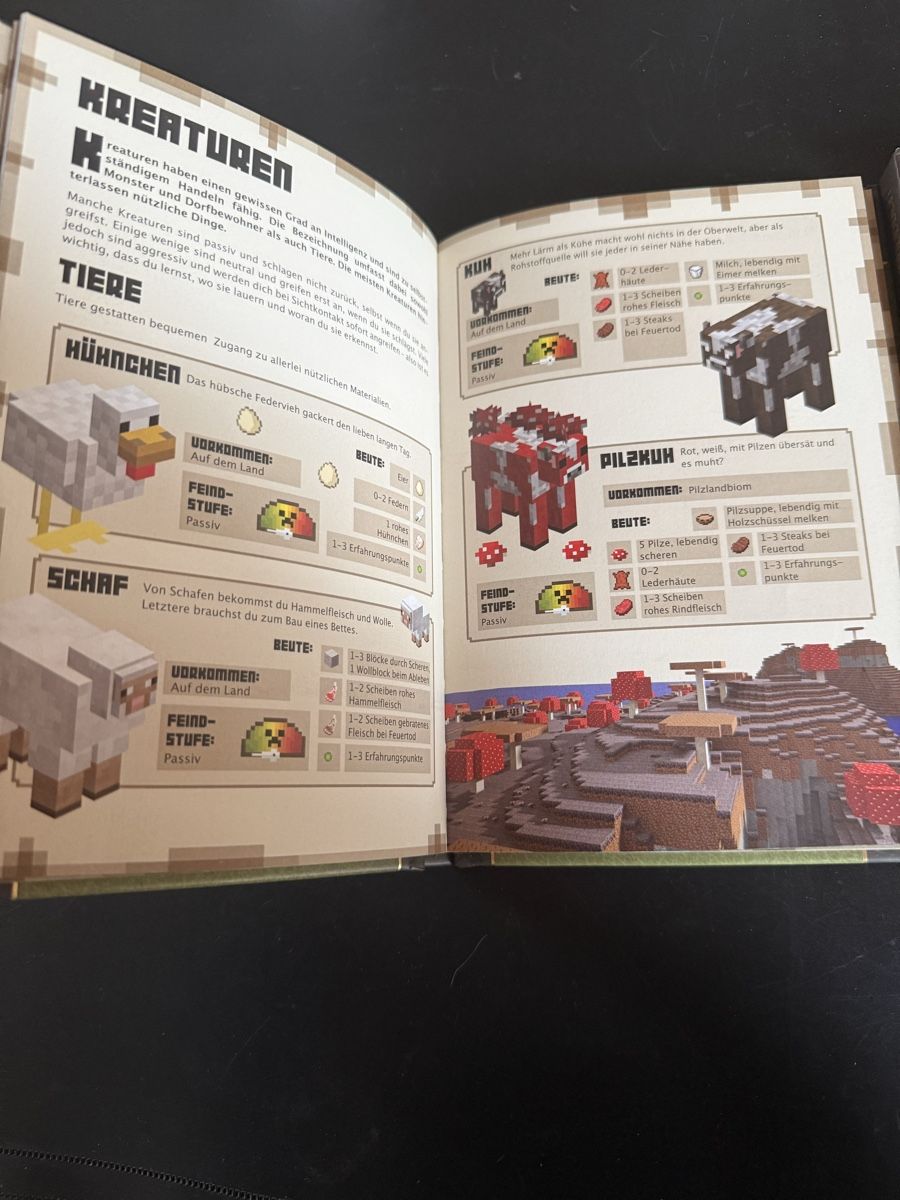 Livres: Minecraft Handbuch – Neuf (Voir description) à Thalwil par MB-7 3