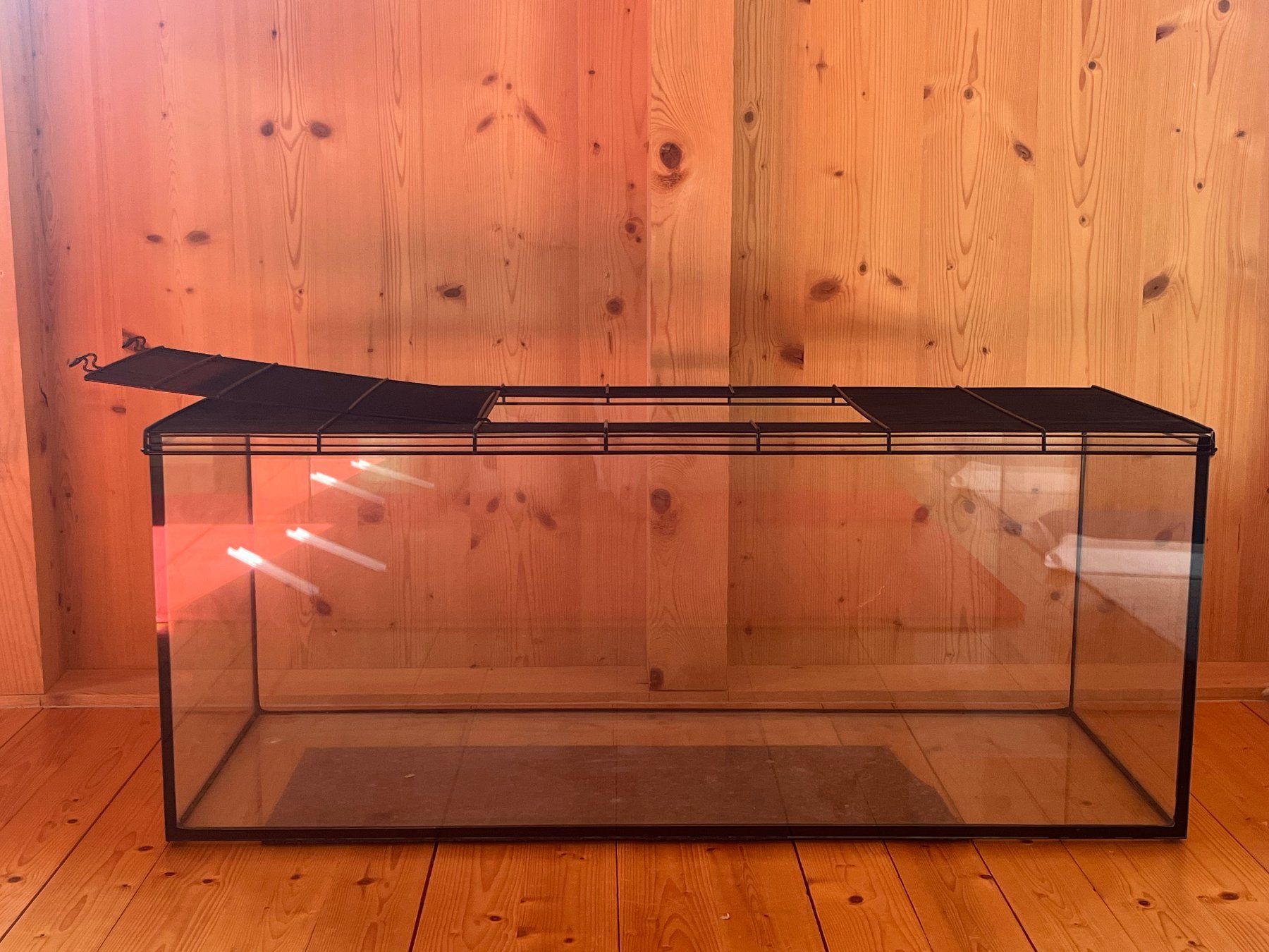 Terrario: Terrarium – Usato da Haldenstein venduto da Lusa1942 1