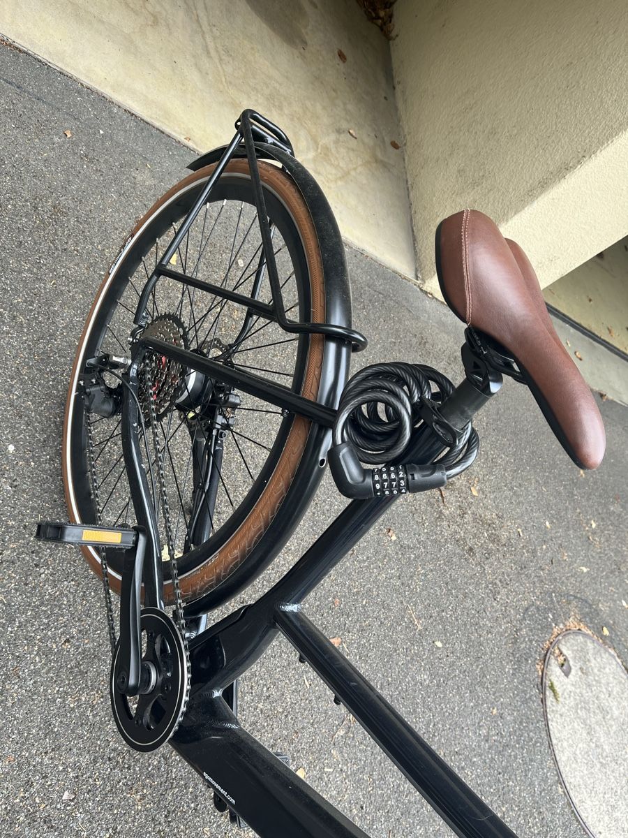Ego Movement Biciclette: EGO Movment E. Bike – Usato da Zürich venduto da ala_h6yq 3