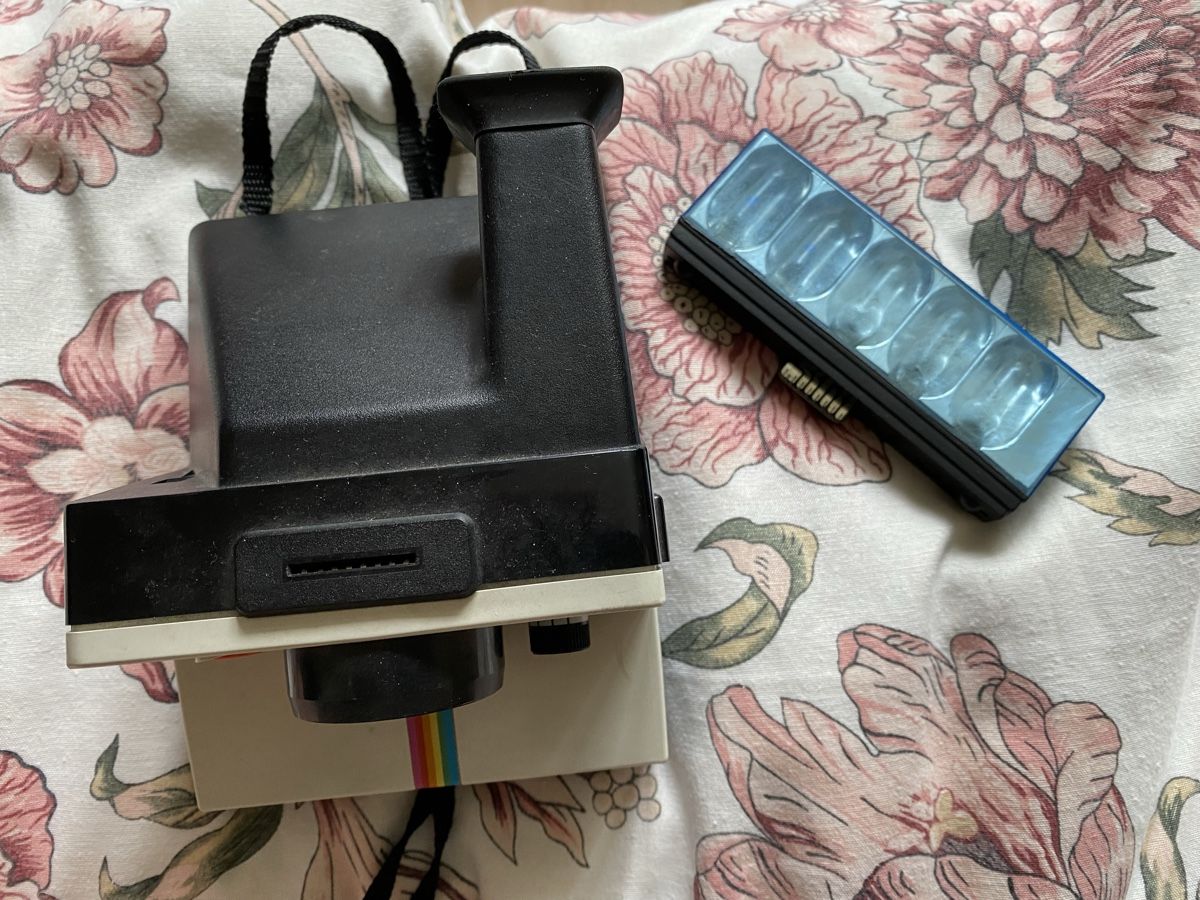 Polaroid Fotocamera: Polaroid Land Camera 1000 – Usato da Mezzovico venduto da AnGy-AnGy 2