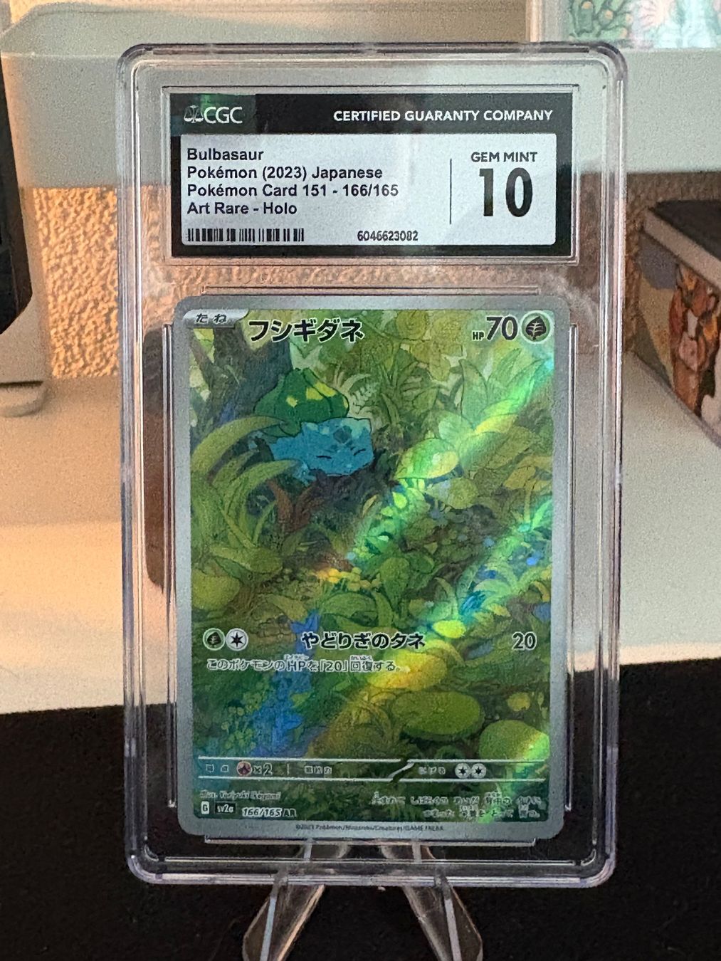 Pokémon Carte collezionabili: Pokemon Bulbasaur 166 JP CGC 10 Gem Mint – Nuovo (secondo la descrizione) da Brügg BE venduto da nobody911