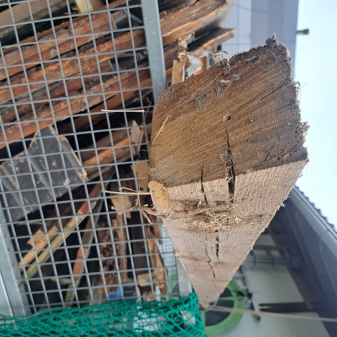 Articoli in legno: alter holzbalken zum schnaeppchen preis – Usato da Benzenschwil venduto da 007tinu 2