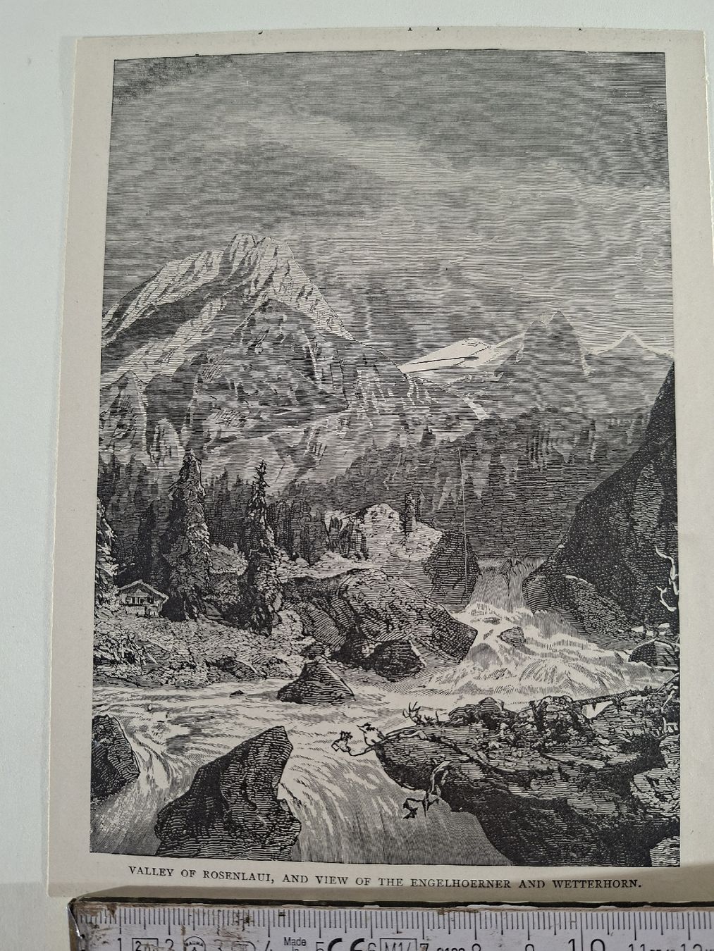 Incisioni: Lot  58 , 10 Stiche  – Usato da Grindelwald venduto da carro5 8