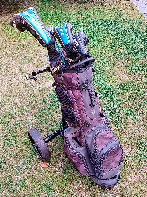 Trolley: Golf-Trolley (at-hena) – Usato da Minusio venduto da Nirav8 4