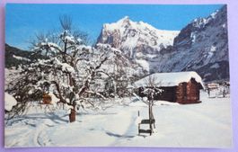 Grindelwald - Wetterhorn