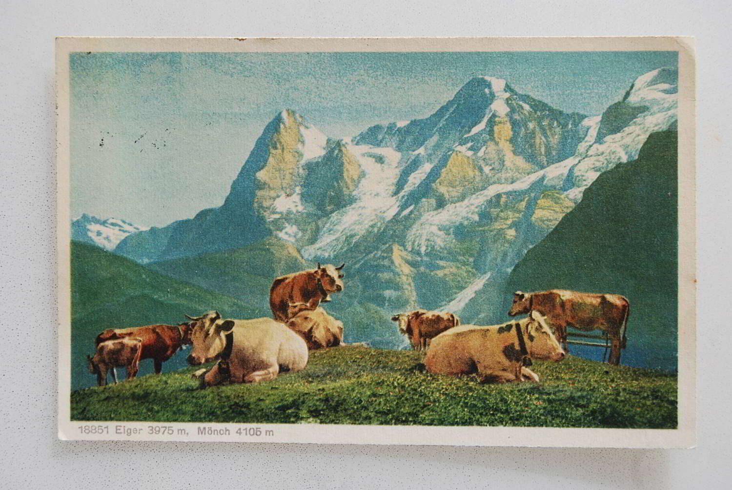 Cartoline postali: AK Eiger, Mönch 1928 – Usato da Rüfenacht BE venduto da Toro06