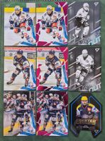 Cartes de collection hockey ZSC LIONS 25/26