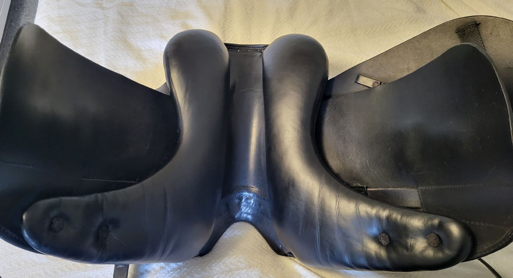 Selle & Accessori: dressursattel kurz 18" massimo – Usato da Zuzwil SG venduto da TSGWEAL1 5