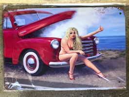 Pick up truck pin up panne szene