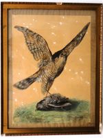 Bergner Adler Jagd Aquarell 1857 signiert 69x53cm