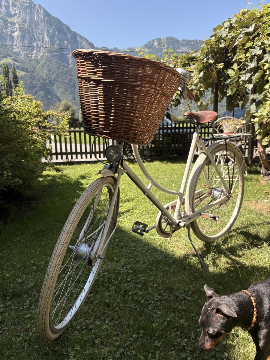 Biciclette: Pashley Damenrad weiss mit Korb – Usato da Altdorf UR venduto da nemio.shop