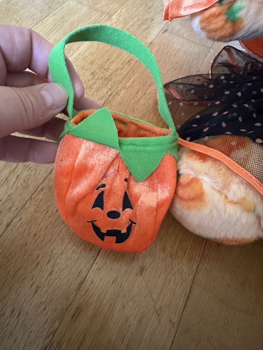 Giocattoli: Teddy Halloween selten top – Usato da Bern venduto da Ruhrallee 4