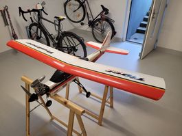 Tiger Trainer, mit Thunder Tiger Pro 46 Motor und Servos