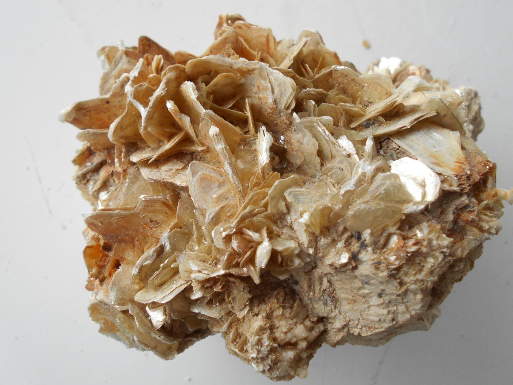 Mineralien & Heilsteine: Muskovit Stufe ca. 1,3 kg – Neu (gemäss Beschreibung) aus Zürich von swisscristal01 1