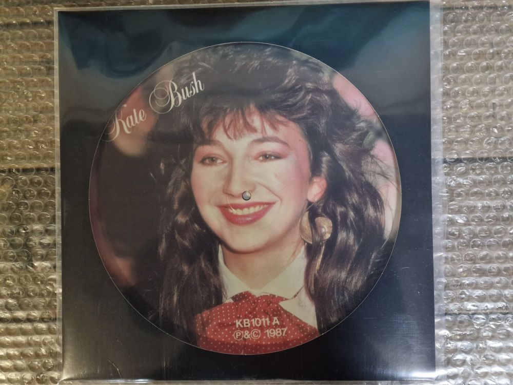 Kate Bush LP – Limited Edition Interview Picture Disc | Kaufen auf Ricardo