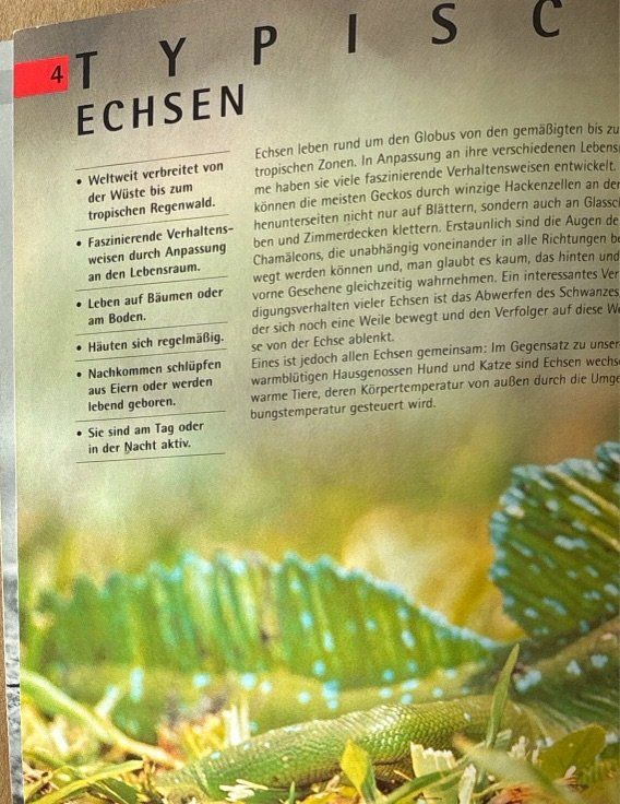 Livres: Echsen – D'occasion à Sarnen par Livres 4