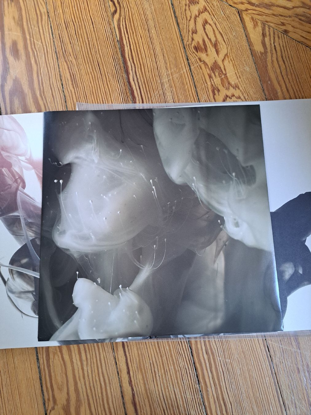 Dischi in vinile: Delphic, Acolyte 1LP – Usato da Genève venduto da Marci-Mcfly 3