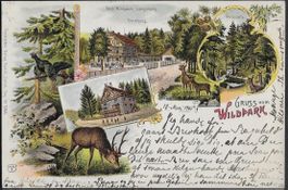 1901 AK Litho Wildpark Langnau ZH vier Ansichten top ab 1.-