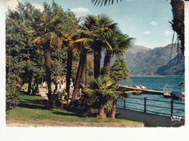 Locarno 1970
