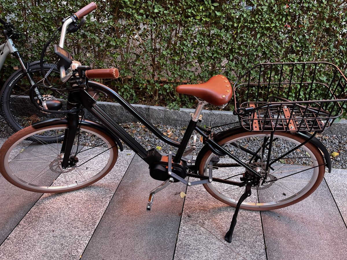 Ego Movement Velos: Damen E-Bike 'EGO Classic' – Neu (gemäss Beschreibung) aus Winterthur von car_9bzt