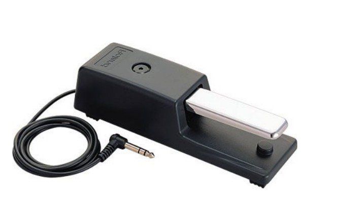 Strumenti musicali: Roland Sustain-Pedal DP-10 – Nuovo (secondo la descrizione) da Pfaffnau venduto da fj0_5ryj