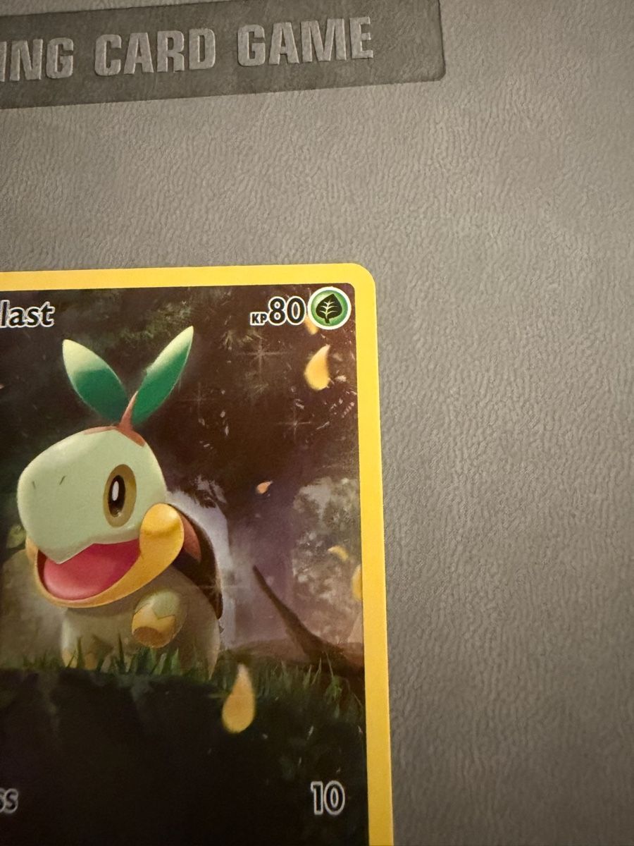 Pokémon Carte collezionabili: Chelast (CRZ GG31) – Usato da Biel/Bienne venduto da SeeLoewe55 3