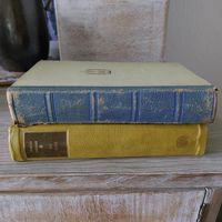 Homestaging,  Ch. Morgan, 50er, 2 Romane