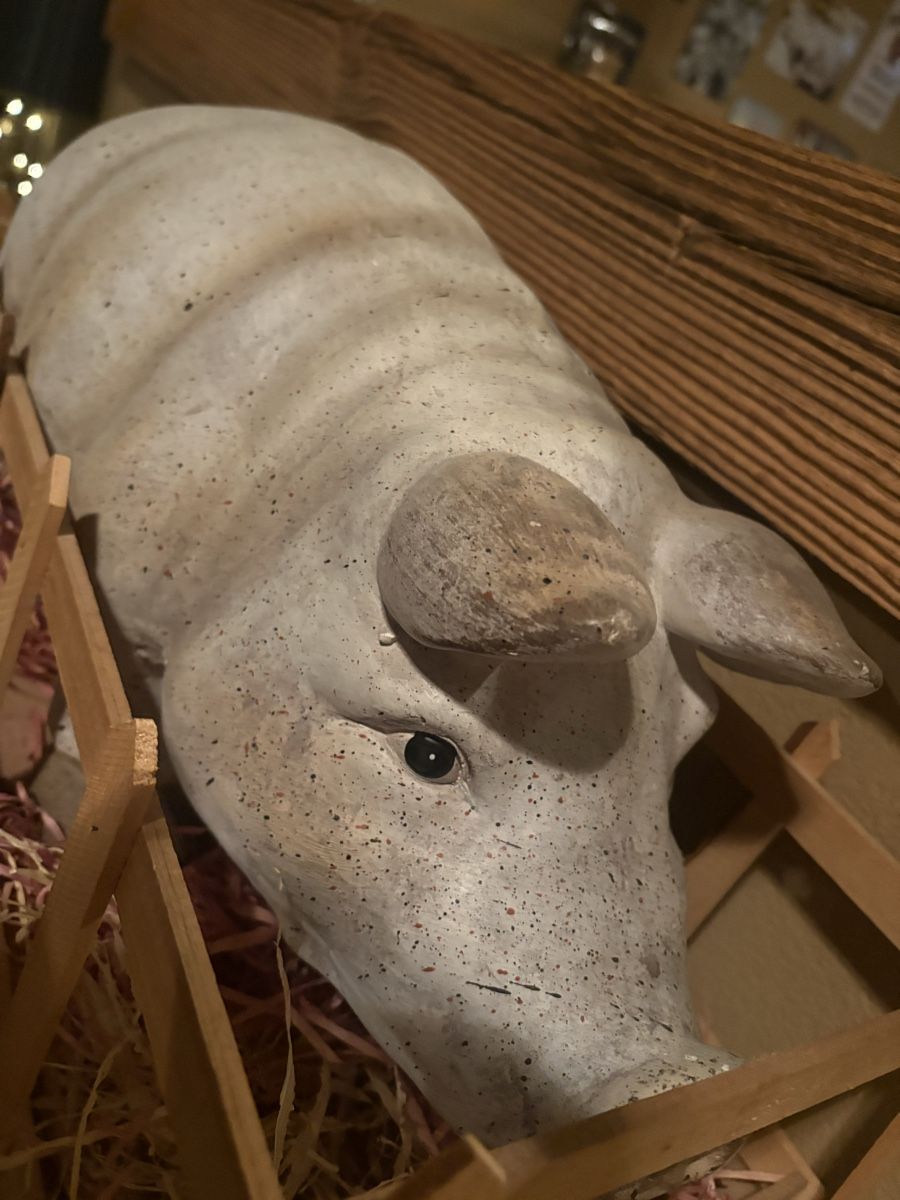 Salvadanai: Sparschwein – Usato da Basel venduto da osk_9vr5 1