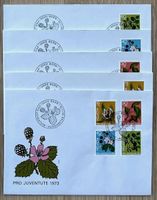 Pro Juventute 1973 FDC Satz und einzel