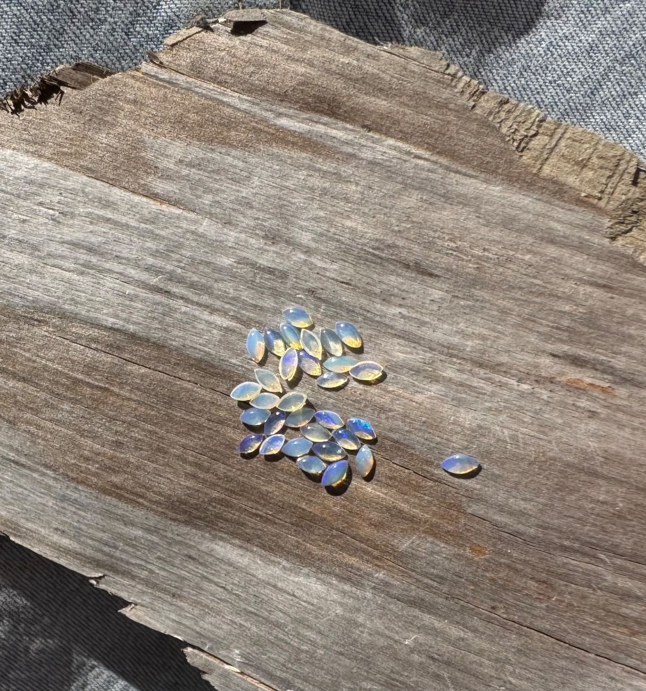 Fossili: 30 Stk  Cabochons Opal  echt!! winzig neu    2x4mm  solid – Nuovo e nell'imballaggio originale da Leuggern venduto da gemshow 3