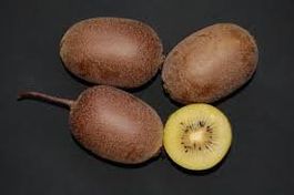 Kiwi Jinfeng femelle ( 2 Boutures )