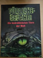 Tödliche Gefahr! Gefährlichste Tiere der Welt