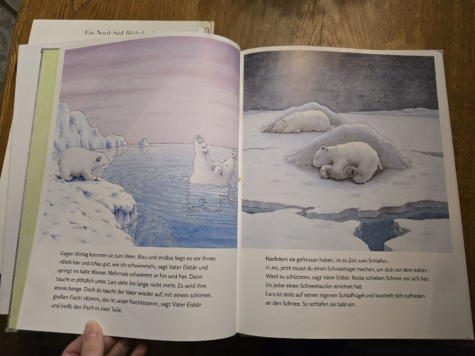 Libri: 3 Kleine Eisbär Bücher Hans de Beer set – Usato da Wittenbach venduto da Tigerlili 7