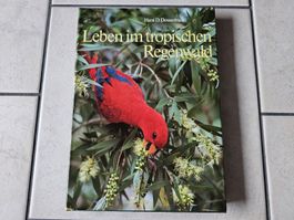Leben im tropischen Regenwald  /  Erlebnis Regenwald