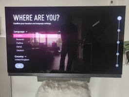 LG OLED65E7V Fernseher 65 Zoll guter Zustand